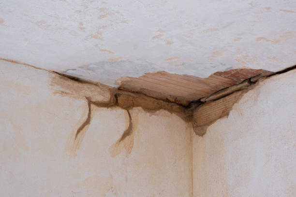 Best Water damage mitigation services  in South Pasadena, FL