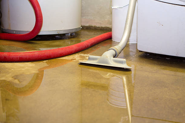 Best Basement water damage restoration  in South Pasadena, FL