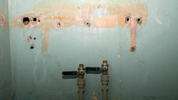 Best 24-hour water damage restoration  in South Pasadena, FL