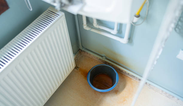 Best Water damage restoration cost  in South Pasadena, FL