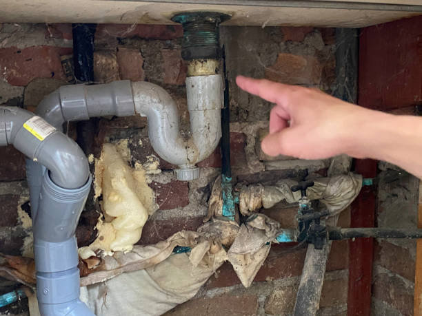 Best Residential water damage restoration  in South Pasadena, FL