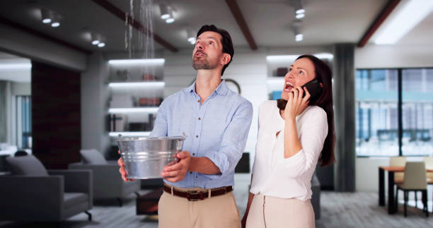 Water damage restoration experts in South Pasadena, FL