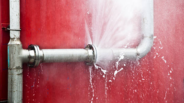 Best 24/7 water damage repair  in South Pasadena, FL